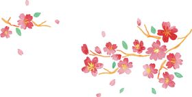 花卉桃免扣朵盛开唯美素材