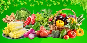 安防设备店多样设备展示