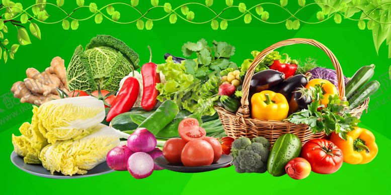 编号：78235604011949034478【酷图网】源文件下载-安防设备店多样设备展示