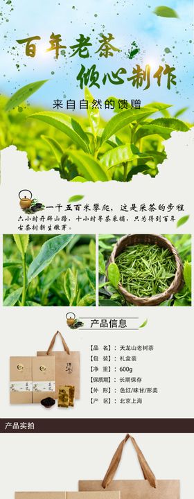 茶叶详情页  绿茶 绿色素材 