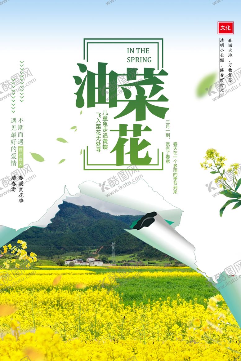 编号：47979107090953028537【酷图网】源文件下载-油菜花