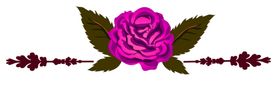 鲜花素材