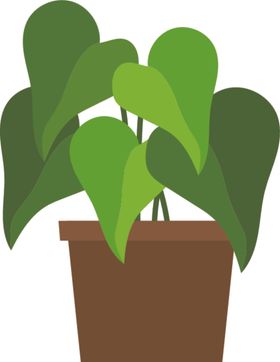 盆景盆栽