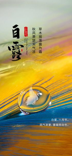 白露节气海报