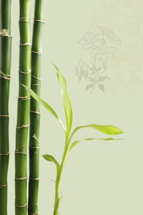 中国风背景简约古典书法展板