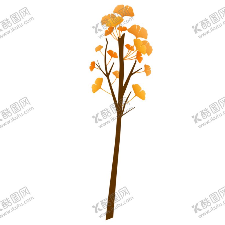 编号：40840304191729213864【酷图网】源文件下载-秋天银杏叶