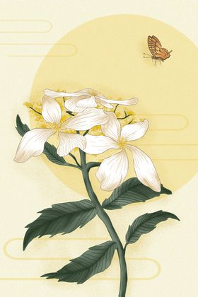 古典手绘花鸟插花