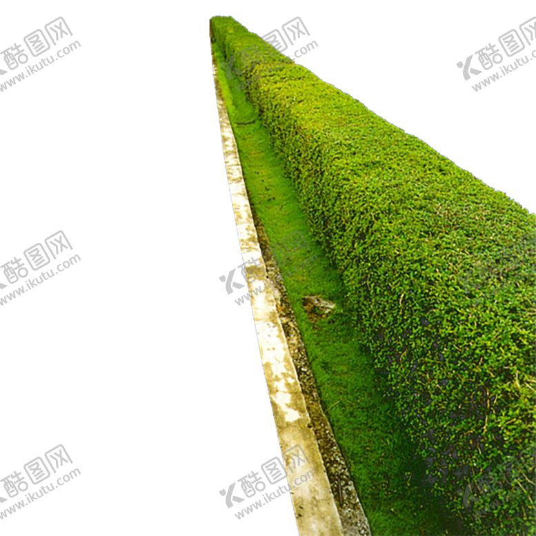 编号：42742507041557498341【酷图网】源文件下载-绿色相框