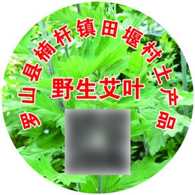 野生艾叶土特产农产品艾草