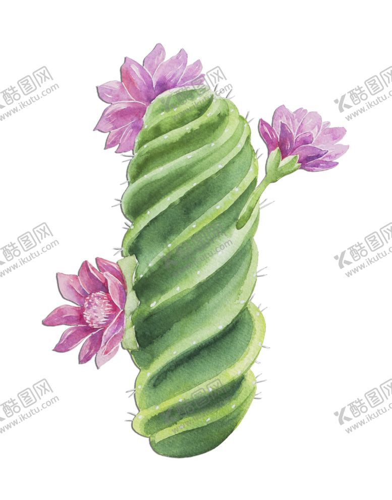 编号：81720712222143307684【酷图网】源文件下载-手绘仙人掌