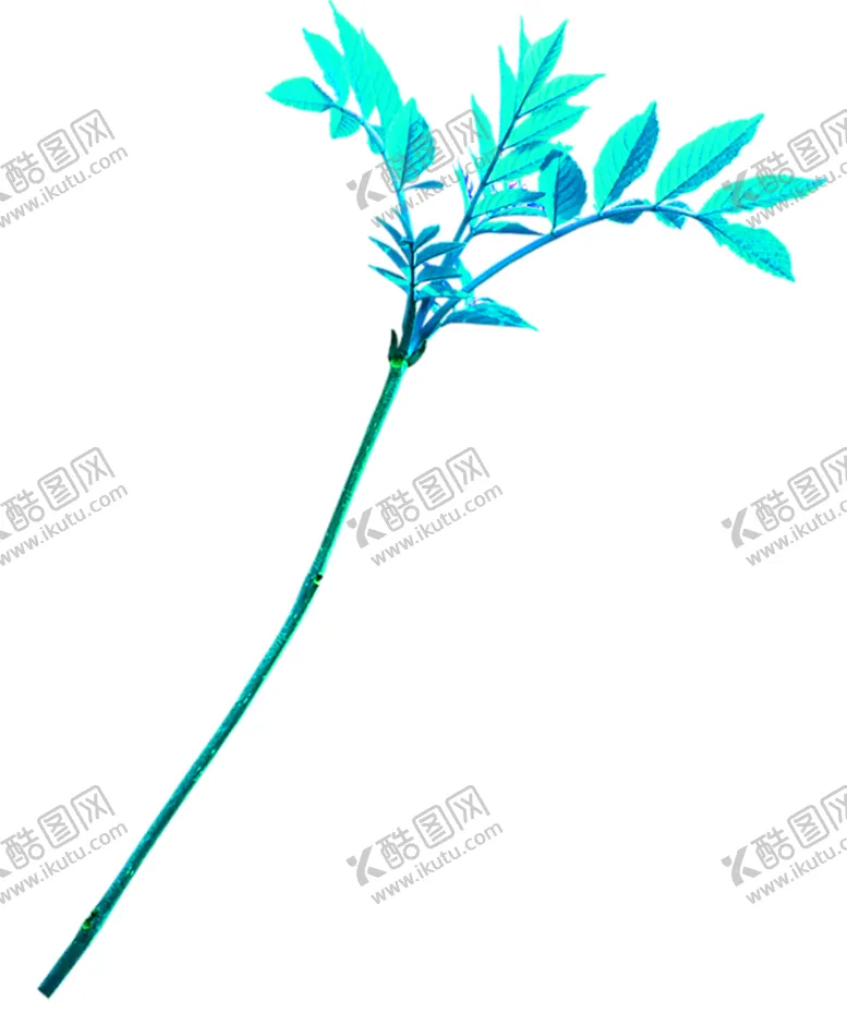 编号：62506906270907021736【酷图网】源文件下载-浪漫素材