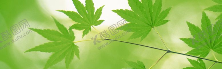 编号：83206307030258264569【酷图网】源文件下载-banner背景