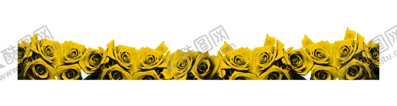 编号：50874709250144448289【酷图网】源文件下载-花素材