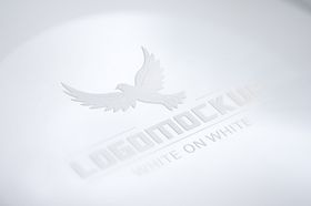 LOGO样机