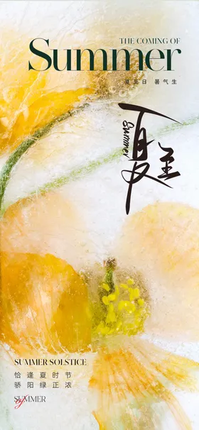 夏至节气海报地产创意二十四