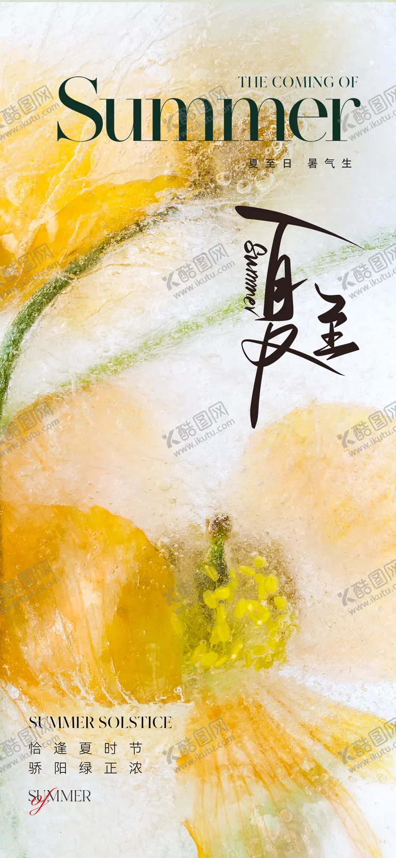 编号：25669711191315195931【酷图网】源文件下载-夏至节气海报