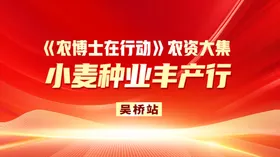 会议背景红色模板活动年舞台