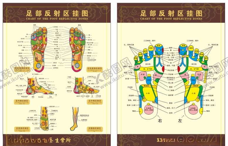编号：19518710022123198913【酷图网】源文件下载-足疗挂图