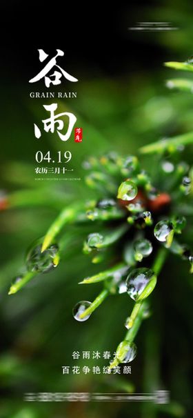 谷雨节气海报