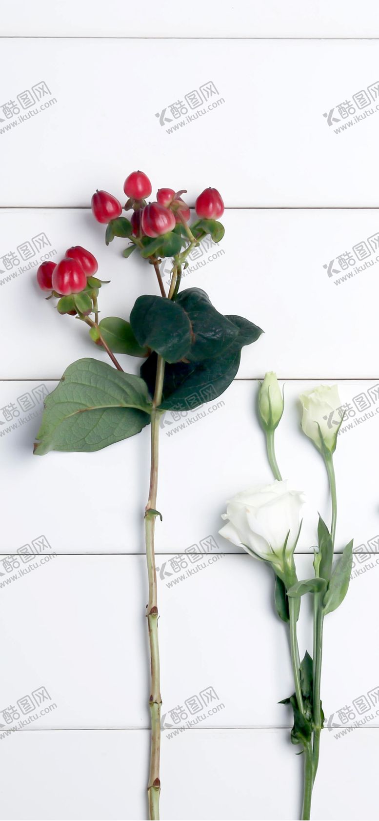 编号：84691907031112006122【酷图网】源文件下载-手机壁纸