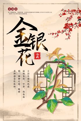 金银花药材传统海报素材