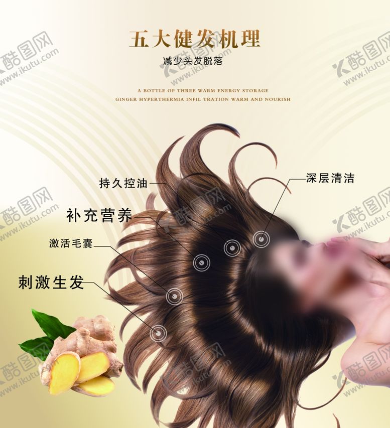 编号：59044110031136016997【酷图网】源文件下载-头发头皮海报