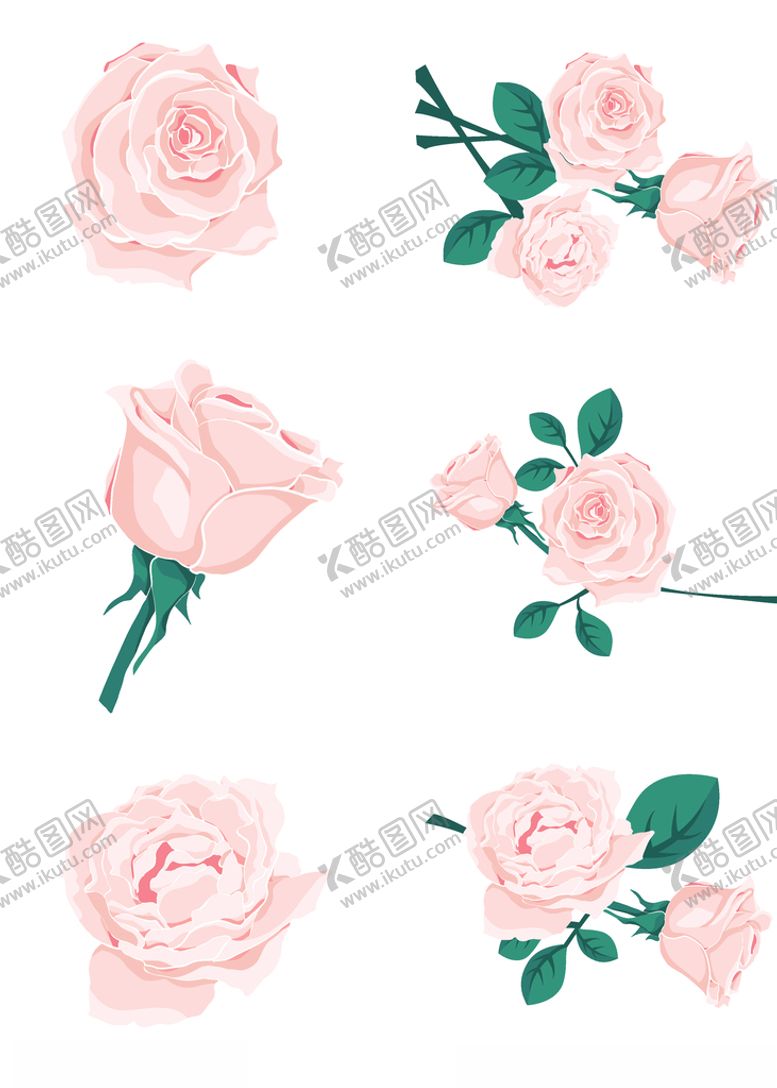 编号：38454209150007542006【酷图网】源文件下载-玫瑰