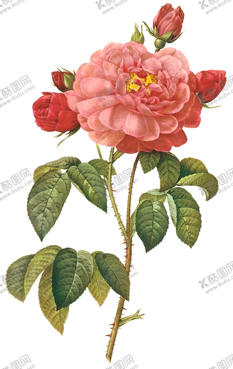 编号：40706807031437472919【酷图网】源文件下载-植物花卉油画装饰画