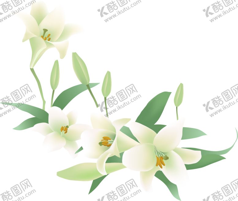 编号：73003509092124566957【酷图网】源文件下载-花免抠图PNG