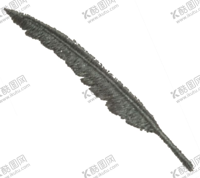 编号：55924206261250178035【酷图网】源文件下载-羽毛裁片印花T恤