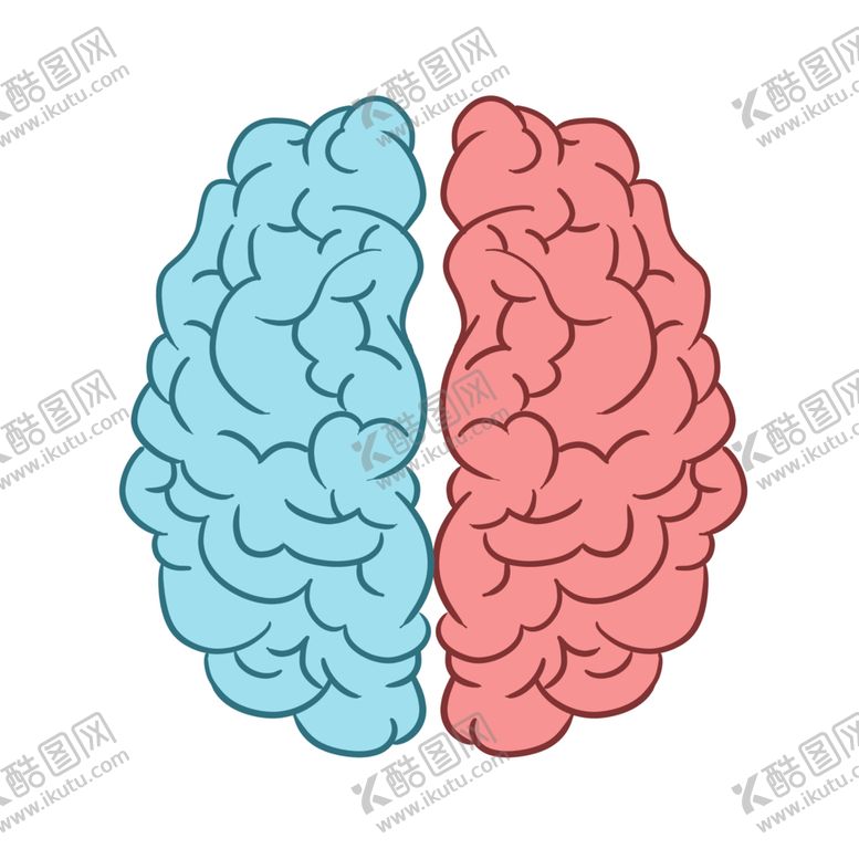 编号：71321010281213205562【酷图网】源文件下载-左右大脑