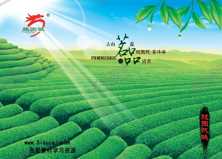 编号：96901007041527021714【酷图网】源文件下载-茶山