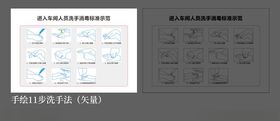 11步洗手法