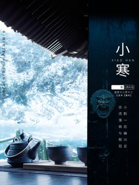 小寒大气海报