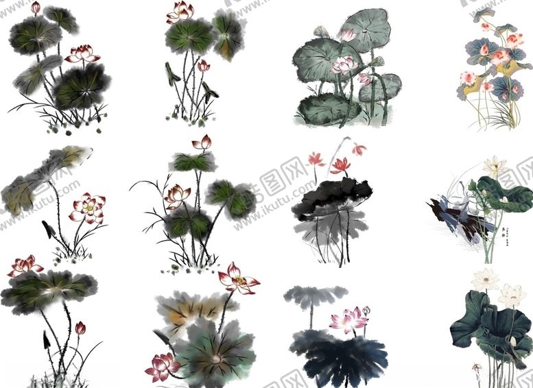 编号：25476905190636457464【酷图网】源文件下载-荷花