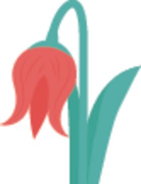 鲜花