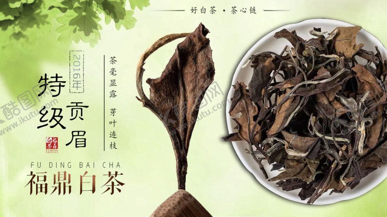 编号：56515605150530562237【酷图网】源文件下载-福鼎老白茶