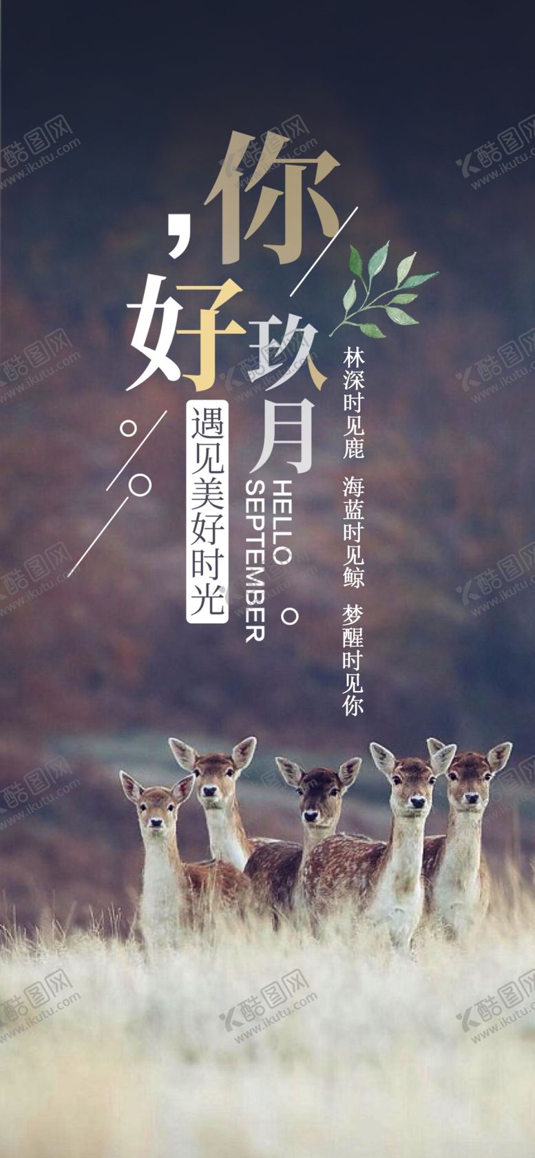 编号：22567307090514283392【酷图网】源文件下载-九月你好
