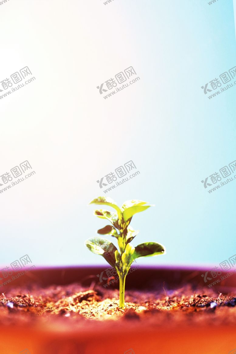 编号：56933909231058067338【酷图网】源文件下载-banner背景