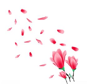 樱花  花瓣 粉色花 桃花免扣
