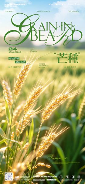 芒种小麦节气