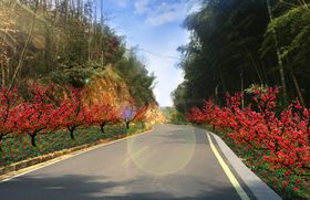 道路绿化效果图