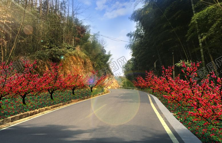 编号：91192609221741422997【酷图网】源文件下载-道路绿化效果图