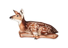 野生动物插图