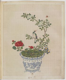 盆景花鸟