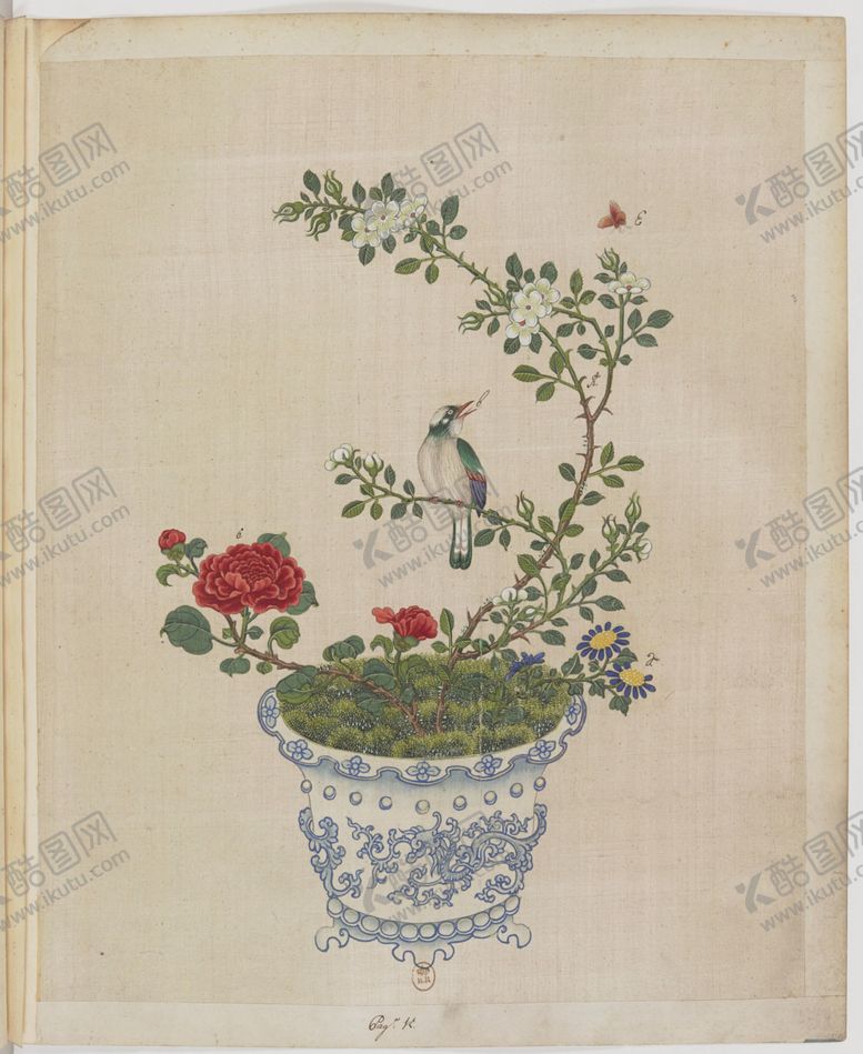 编号：87610105111522555697【酷图网】源文件下载-盆景花鸟