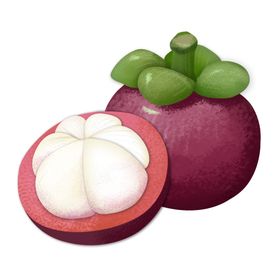 手绘山竹