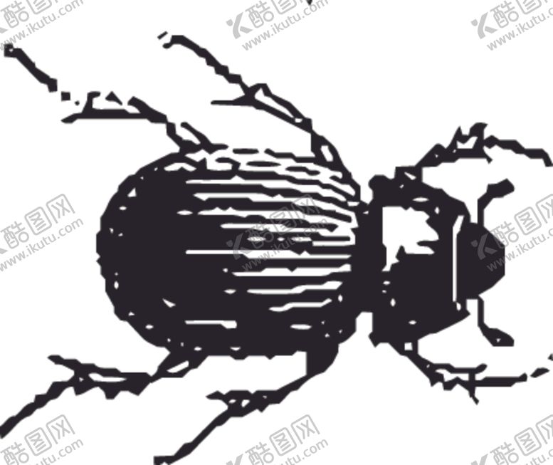 编号：29927907090036048063【酷图网】源文件下载-自然昆虫标本插画
