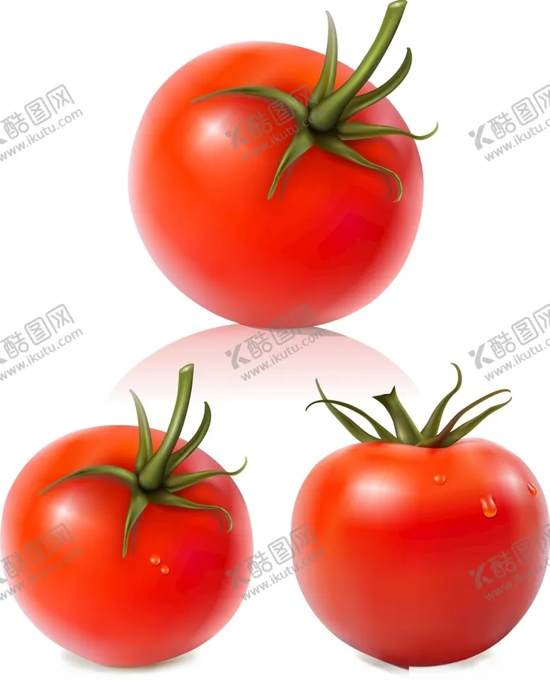 编号：93005612101010076042【酷图网】源文件下载-番茄