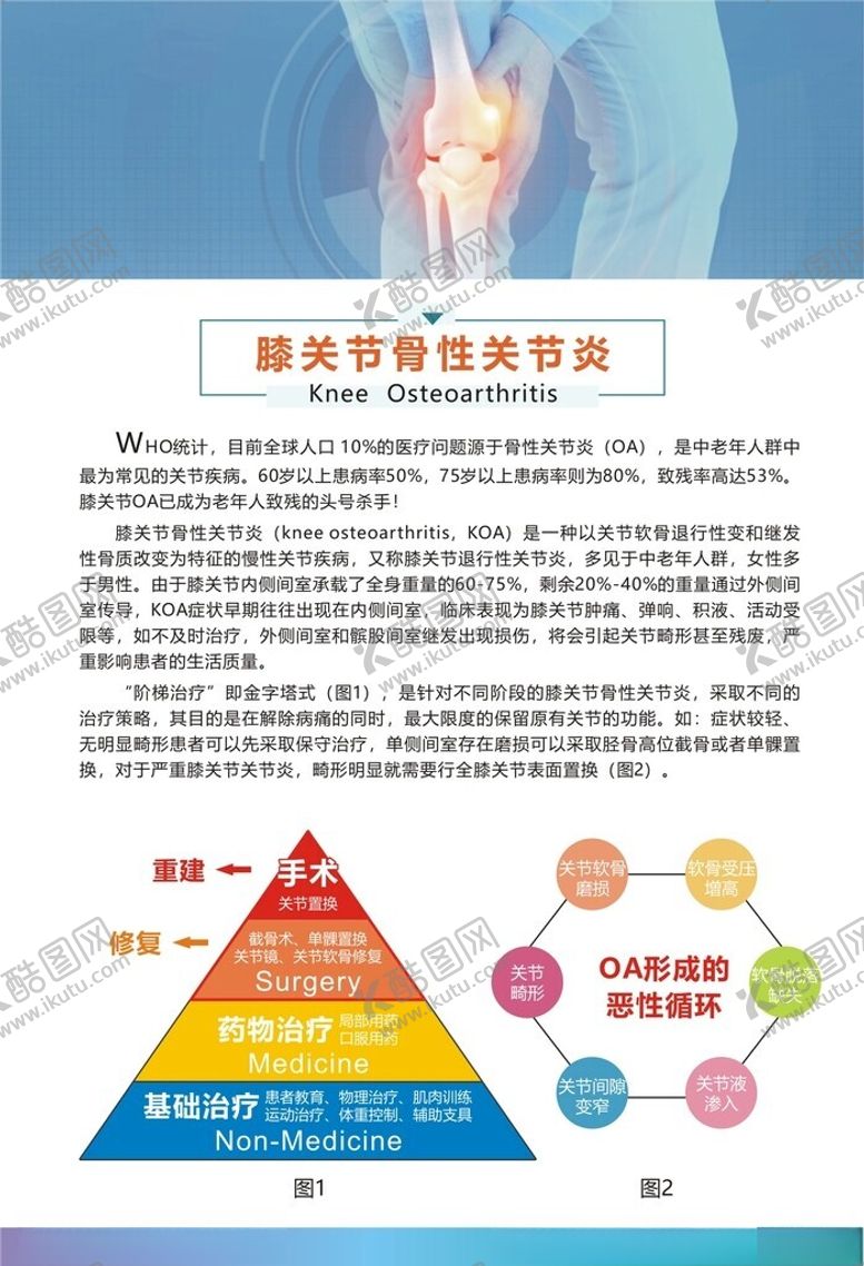编号：61080612131022177604【酷图网】源文件下载-膝关节骨性关节炎